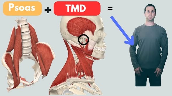 Ból pleców to często zagadka, której kluczem są skomplikowane relacje mięśniowe, np. między psoas a quadratus lumborum. Te mięśnie nie tylko wpływają na biodra i kręgosłup, ale nawet na oddychanie!